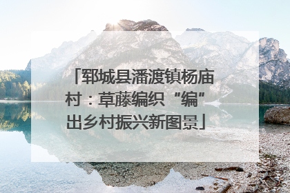 郓城县潘渡镇杨庙村：草藤编织“编”出乡村振兴新图景